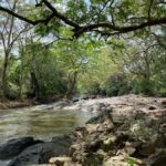 Yala: Bike and Tuk Tuk Tour with Wildlife and Temple Visit - What to Expect and Practical Tips