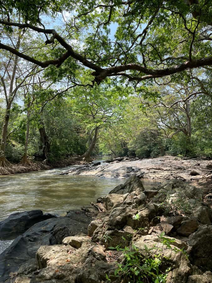 Yala: Bike and Tuk Tuk Tour with Wildlife and Temple Visit - What to Expect and Practical Tips