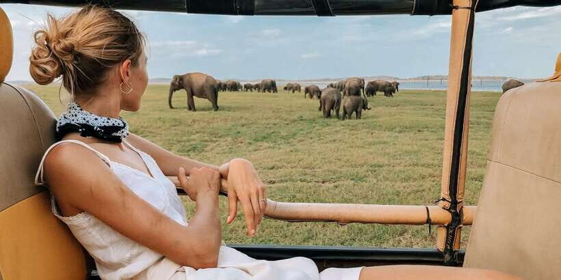 Yala Block 5: Private Morning or Evening Safari - What Sets This Safari Apart