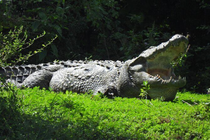 Yala National Park Full Day Safari - Ceylon Safari Tours - Lunch and Refreshments