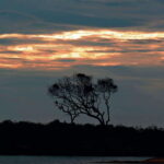 Yala National Park: Full day Safari Tour - An In-Depth Look at the Experience