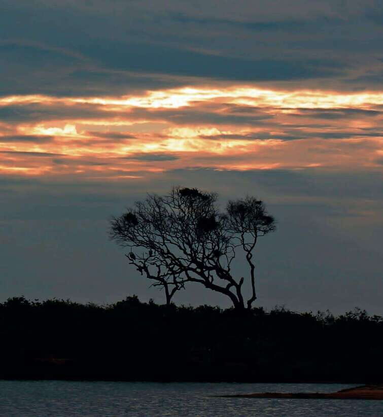 Yala National Park: Full day Safari Tour - An In-Depth Look at the Experience