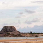 Yala National Park: Half, 7-Hour, or Full-Day Safari & Meals - Why We Love This Tour