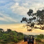 Yala National Park: Half, 7-Hour, or Full-Day Safari & Meals - What the Tour Includes and How It’s Structured