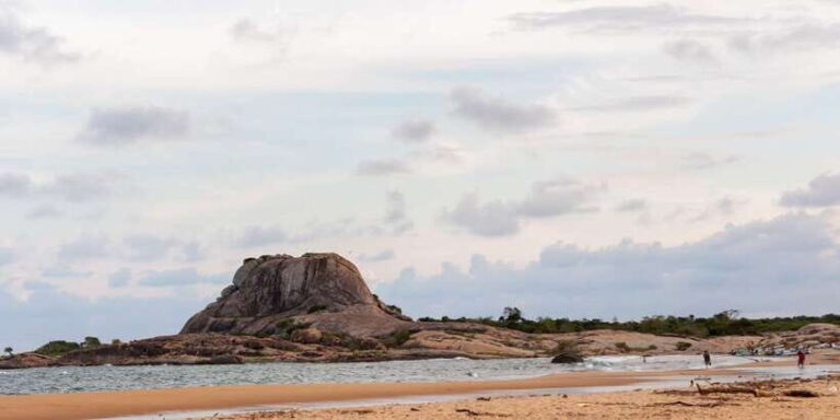 Yala National Park: Half, 7-Hour, or Full-Day Safari & Meals - Why We Love This Tour