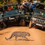 Yala National Park Leopard Safari Wildlife Private Adventure - The Sum Up: Who Is This Tour Best For?