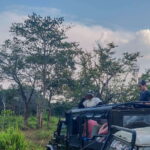 Yala National Park Private Safari from Ella - The Experience: What to Expect During Your Safari