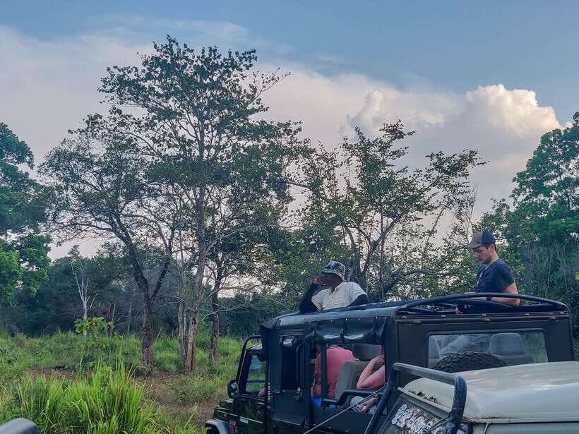 Yala National Park Private Safari from Ella - The Experience: What to Expect During Your Safari