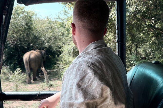 Yala National Park Safari FULLDAY and HALFDAY Expert Guided Tour - Who is This Tour Best For?