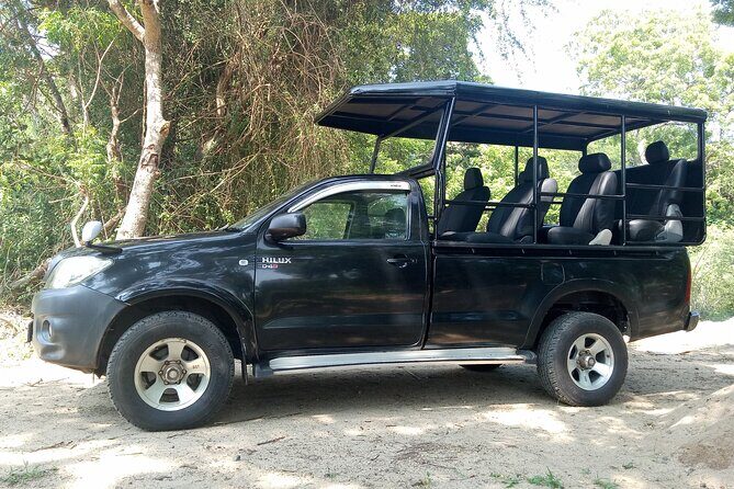 Yala National Park Safari Half Day and Full Day Tours - Who Should Consider This Tour?