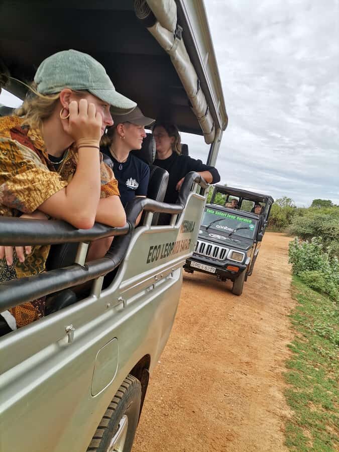 Yala National Park Safari Tours : Morning/Evening & Full-Day - What Makes This Safari Special