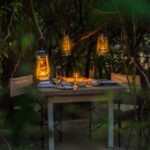 Yala: Stargazing Jungle BBQ Night - Final Thoughts on Value