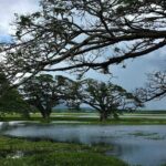 Yala Village Life Experience: Tuk-Tuk Tour, Local Crafts & Tea - Final Thoughts: Who Will Love This Tour?