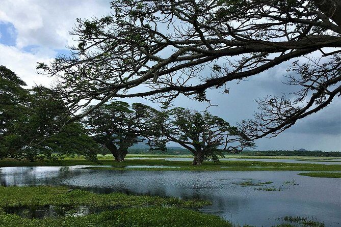 Yala Village Life Experience: Tuk-Tuk Tour, Local Crafts & Tea - Final Thoughts: Who Will Love This Tour?