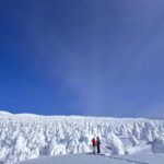 Yamagata: Ice Monster Snow Hiking with Local Guide - Why This Tour Offers Great Value