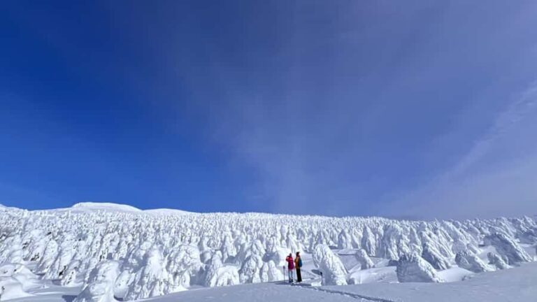 Yamagata: Ice Monster Snow Hiking with Local Guide - Why This Tour Offers Great Value