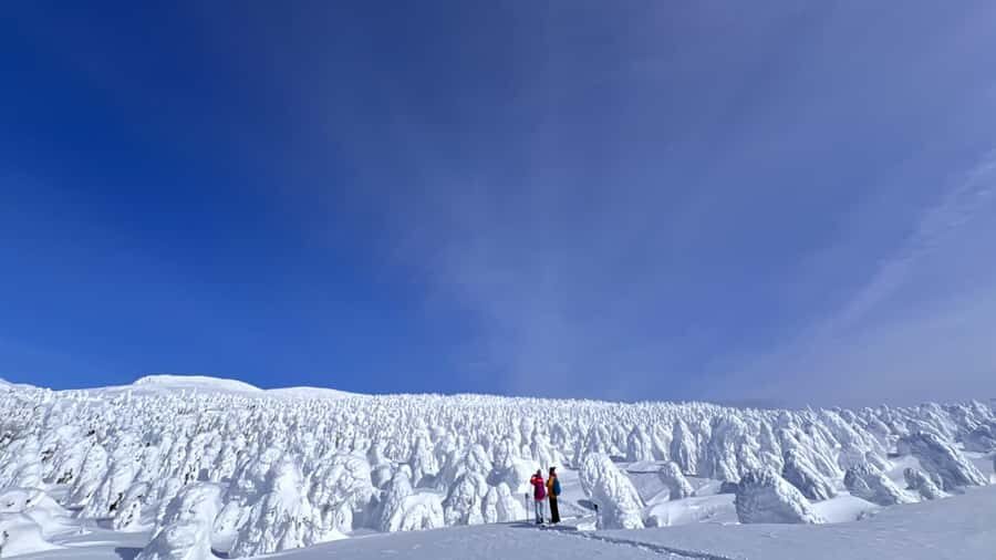 Yamagata: Ice Monster Snow Hiking with Local Guide - Why This Tour Offers Great Value