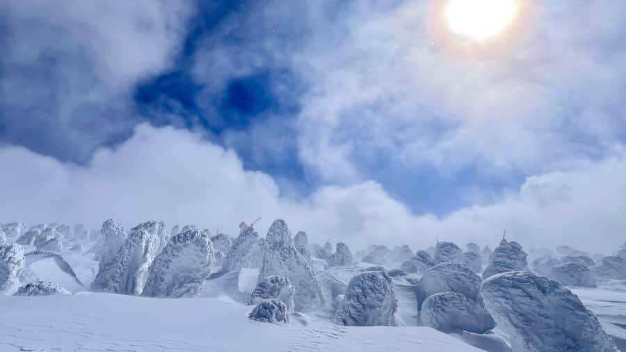 Yamagata: Ice Monster Snow Hiking with Local Guide - Why We Love This Tour