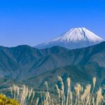 Yamanashi: Minobusan, Japans Sacred Mountain of Faith - Practical Details: What to Expect