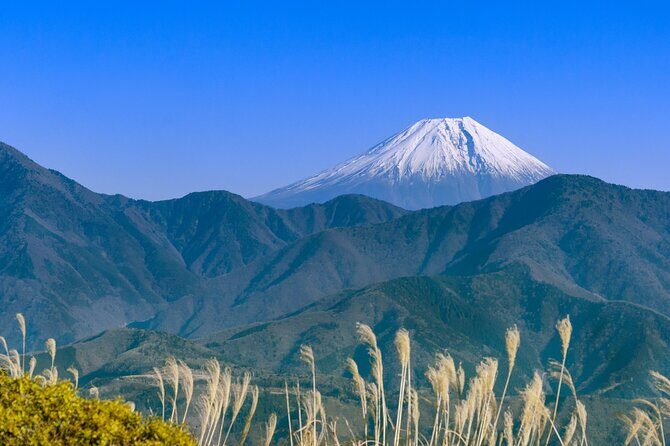 Yamanashi: Minobusan, Japans Sacred Mountain of Faith - Practical Details: What to Expect