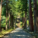 Yamanashi: Minobusan, Japans Sacred Mountain of Faith - Practical Details and Considerations