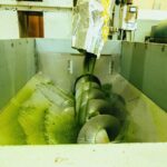 Yanagawa River Cruise and Yame Tea Fukuoka Private Tour - Who Should Consider This Tour?