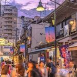 Yanaka and Nezu Walking Tour Discover the Edo Spirit - Deep Dive into Specific Stops