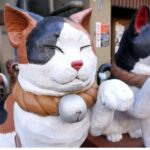 Yanaka & Ueno Tokyo's Old Town Charm - Temple, market,Retro Vibes - Practical Details & Value