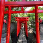 Yanaka & Ueno: Walking Tour of Tokyo Tradition & Culture - Practical Info and Value