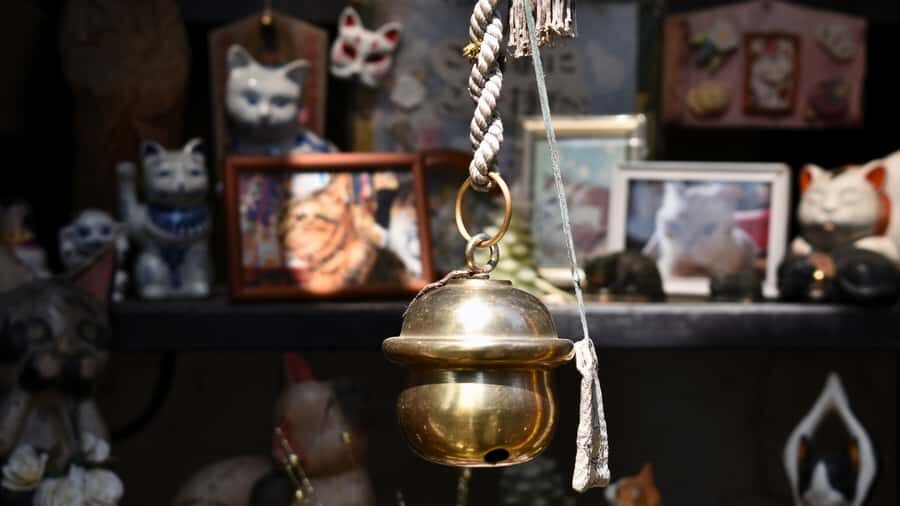 Yanaka & Ueno: Walking Tour of Tokyo Tradition & Culture - The Value of This Experience