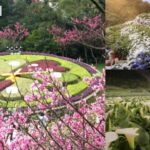 Yangmingshan & Beitou Geothermal Wonders Day Tour - In-Depth Review of the Yangmingshan & Beitou Day Tour