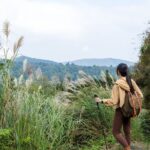 Yangmingshan Half Day Tour in Taipei - Who Would Love This Tour?