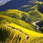 Yangshuo: Longji Terraces & Long Hair Village Private Tour - Full Breakdown of the Tour Experience