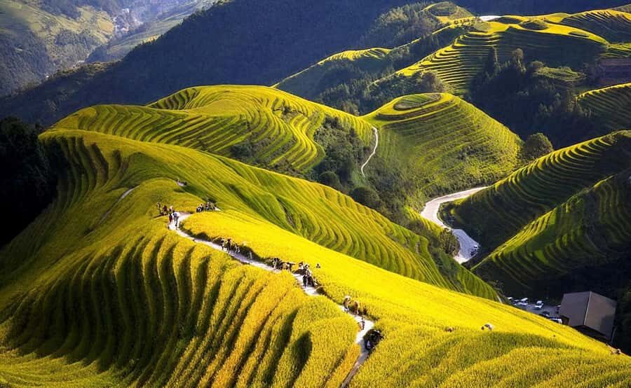 Yangshuo: Longji Terraces & Long Hair Village Private Tour - Full Breakdown of the Tour Experience