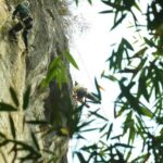 Yangshuo Nature and Adventure Escape - In-Depth Look at the Highlights