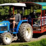 Yarra Valley: Orchard Tractor Tour with Fruit Tasting - Exploring the Orchard Tractor Tour