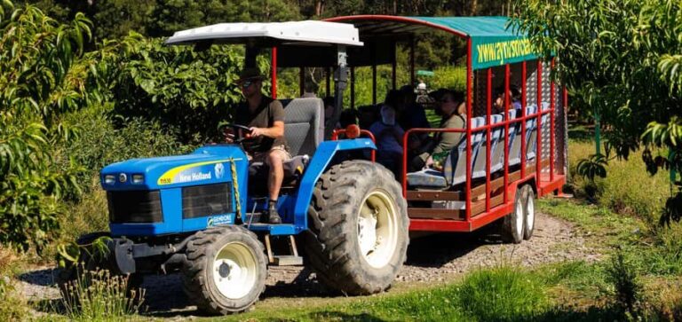 Yarra Valley: Orchard Tractor Tour with Fruit Tasting - Exploring the Orchard Tractor Tour
