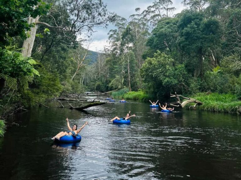 Yarra Valley: Self-Guided River Tubing Adventure - Who Will Love This Tour?