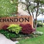 Yarra Valley Wine Tasting Private Tours - Analyzing the Value