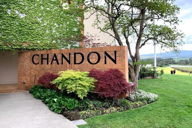 Yarra Valley Wine Tasting Private Tours - Analyzing the Value  