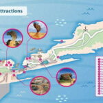 Yehliu Geopark Admission Ticket - The Experience in Detail: From Entrance to Farewell