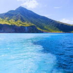 Yilan Whale Watching and Animal Farm Private Tour from Taipei - Practical Details: What You Need to Know