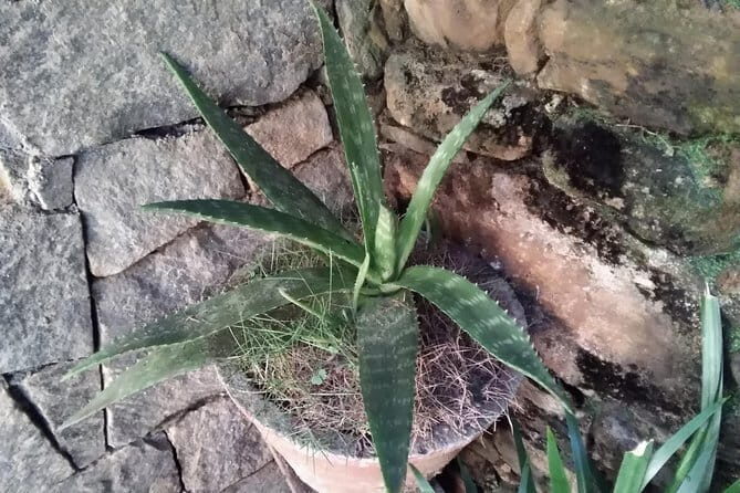 Yoga and Massage Nirvana. - The Meeting Point and Timing