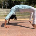 Yoga/Pranayama/Meditation Session with a Certified Guru in Mysore - The Practical Details