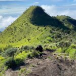Yogyakarta: 1 Day Trip Mount Merbabu Sunrise Hike - Practical Tips for Your Adventure