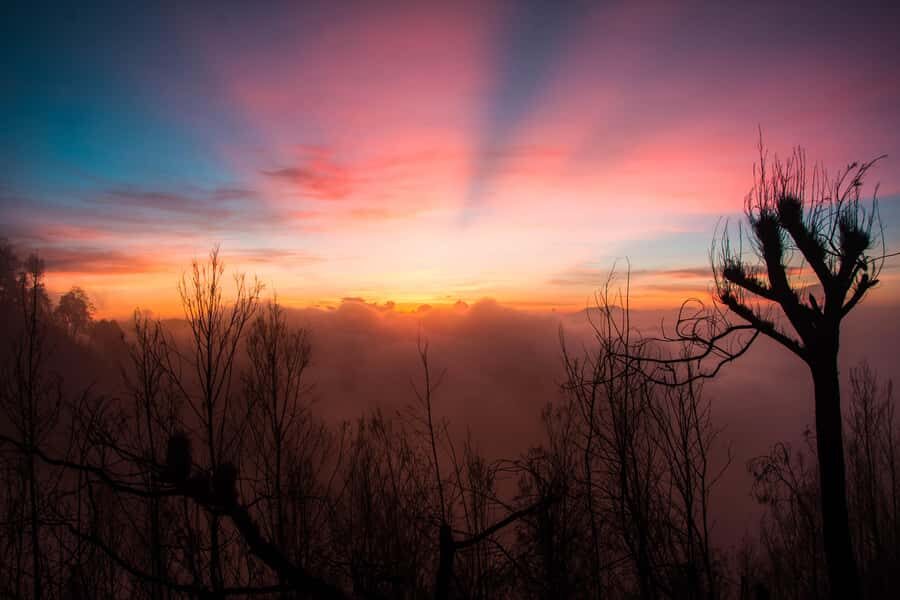 Yogyakarta: 3D2N Bromo and Ijen All-In Private Tour To Bali - What Travelers Love About This Tour