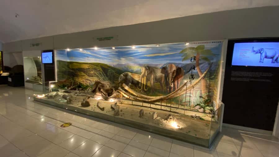 Yogyakarta: Ancient Human Museum & Exotic Sukuh Temple - Who Would Benefit from This Tour?