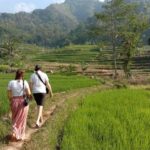 Yogyakarta: Borobudur Climb-up & Selogriyo Paddy Field Tour - The Scenic Drive and Arrival at Selogriyo