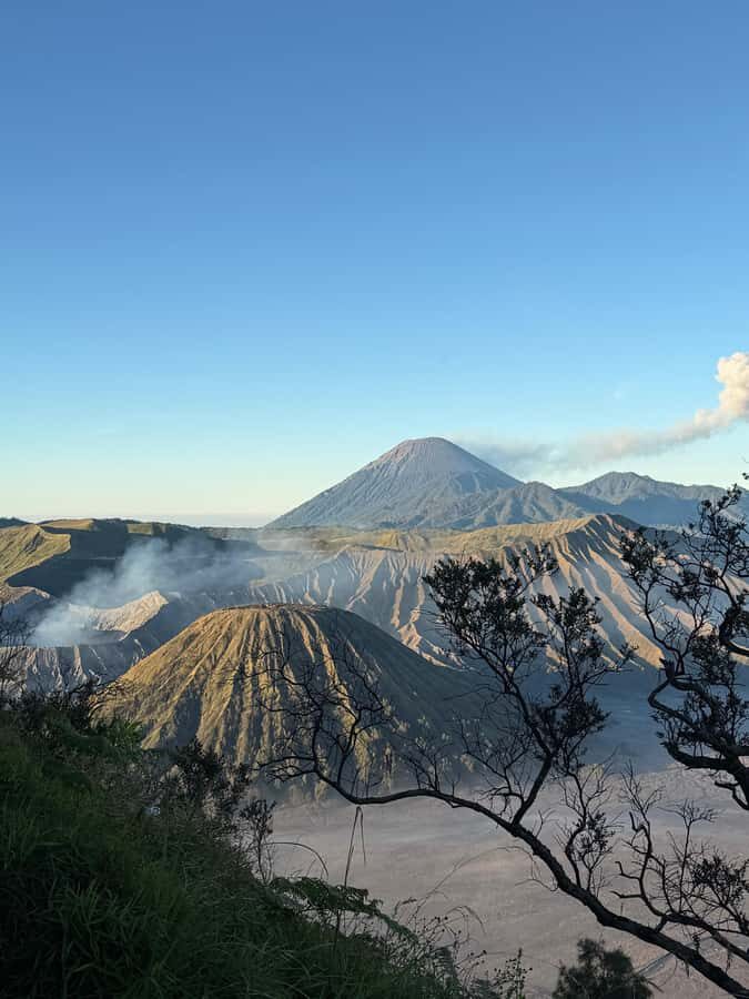 Yogyakarta: Bromo & Ijen Blue Fire Private Tour Drop Of Bali - What Makes This Tour Stand Out?