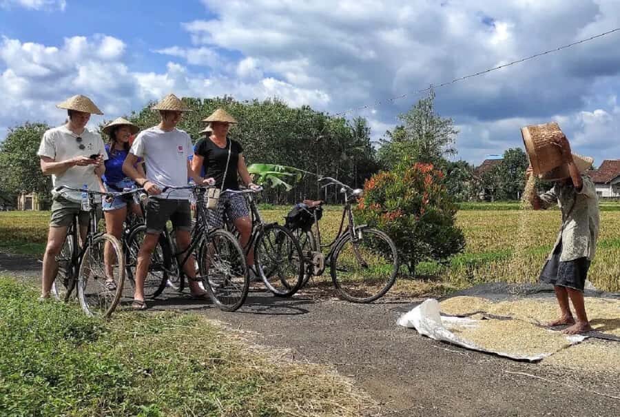 Yogyakarta: Countryside Village Cycling Tour With Guide - Who Will Love This Tour?